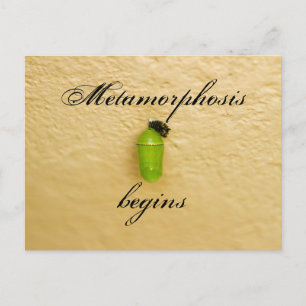Metamorfose begint Monarch Butterfly Green Briefkaart