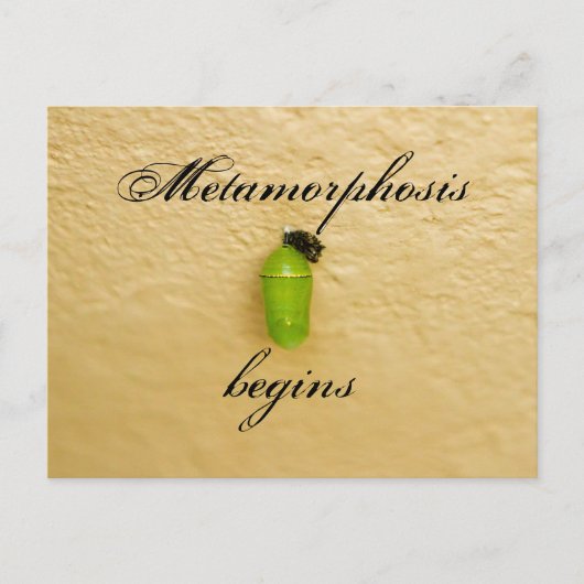 Metamorfose begint Monarch Butterfly Green Briefkaart (Voorkant)