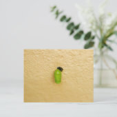 Metamorfose begint monarchvlinder briefkaart (Staand voorkant)