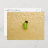 Metamorfose begint monarchvlinder briefkaart (Voorkant / Achterkant)