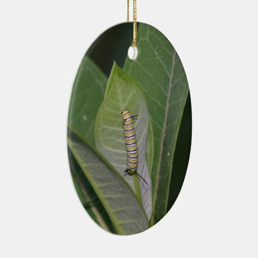 Metamorfose Ornament (Rechts)