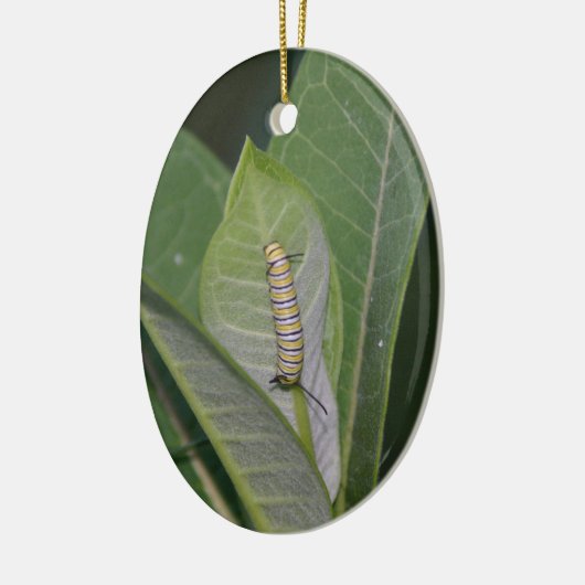 Metamorfose Ornament (Links)