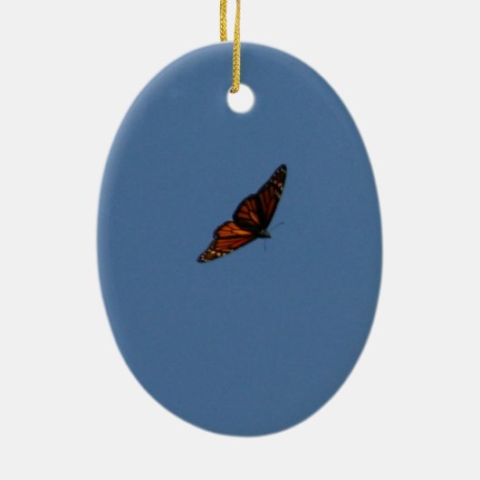 Metamorfose Ornament (Achterkant)