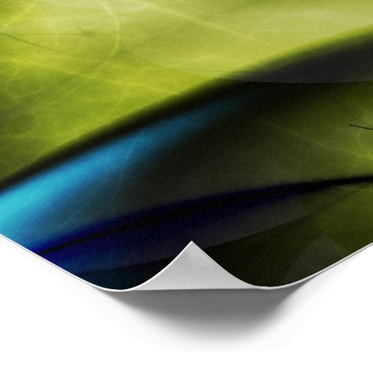 Metamorfose Poster (Hoek)