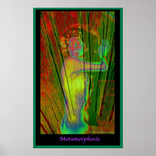 Metamorfose Poster
