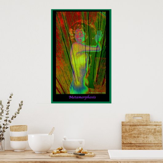 Metamorfose Poster (Keuken)