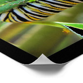 Metamorfose Poster (Hoek)