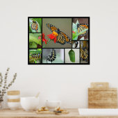 Metamorfose Poster (Keuken)