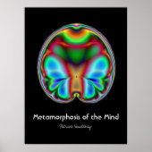 Metamorfose van de kunstfoto poster (Voorkant)
