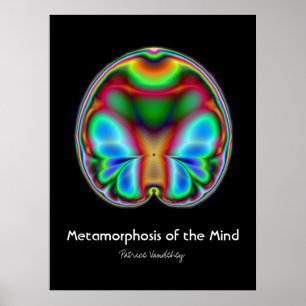 Metamorfose van de kunstfoto poster