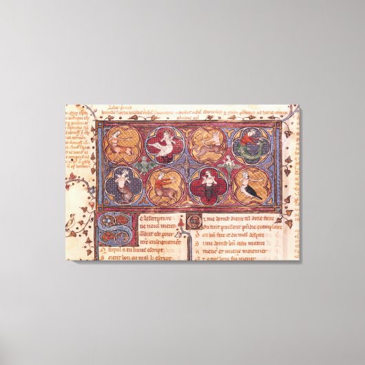 Metamorfosen van Ovid Moralize Canvas Afdruk (Voorkant)