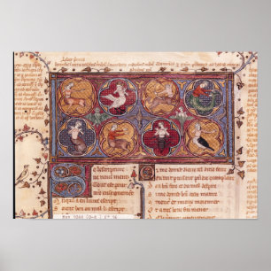 Metamorfosen van Ovid Moralize Poster