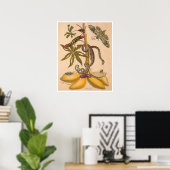 Metamorphosis insectorum Surinamensium Print (Thuiskantoor)