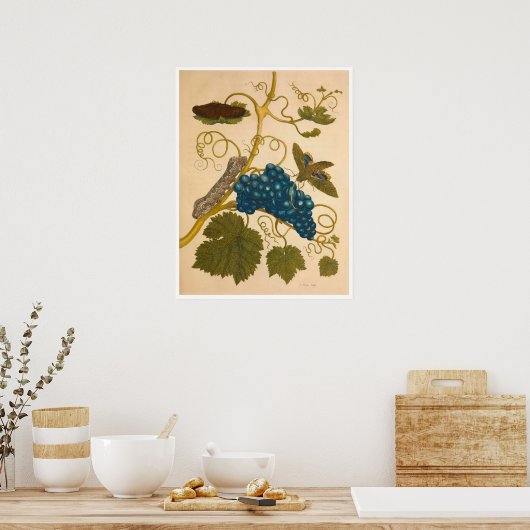 Metamorphosis insectorum Surinamensium Print (Keuken)