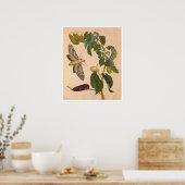 Metamorphosis insectorum Surinamensium Print (Keuken)