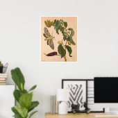 Metamorphosis insectorum Surinamensium Print (Thuiskantoor)