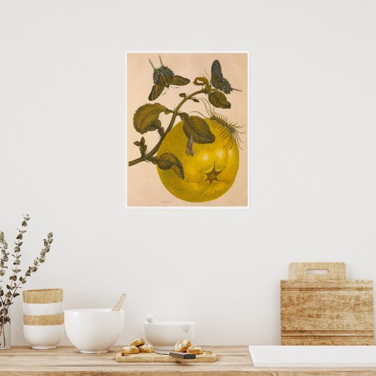 Metamorphosis insectorum Surinamensium Print (Keuken)