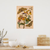 Metamorphosis insectorum Surinamensium Print (Keuken)