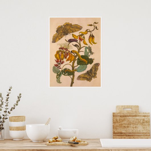 Metamorphosis insectorum Surinamensium Print (Keuken)