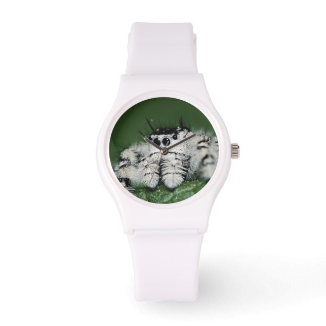 Metaphid Springspin Horloge (Voorkant)