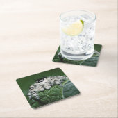 Metaphid Springspin Kartonnen Onderzetters (Insitu)