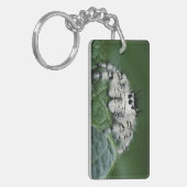 Metaphid Springspin Sleutelhanger (Voorkant Links)