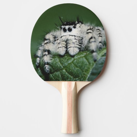 Metaphid Springspin Tafeltennisbatje (Voorkant)