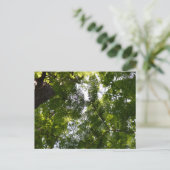 Metasequoia - Dawn Redwood Tree Briefkaart (Staand voorkant)