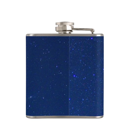 Meteor Dinosaur End is bijna een ramp Heupfles (Achterkant)