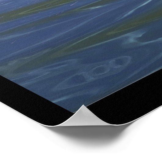 Meteor Shower Poster (Hoek)