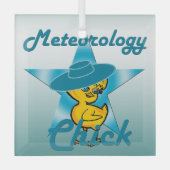 Meteorology Chick #7 Glas Ornament (Voorkant)
