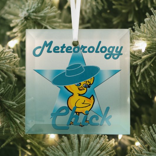Meteorology Chick #7 Glas Ornament (Insitu)