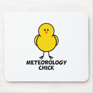 Meteorology Chick Muismat