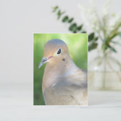 Meting Dove Briefkaart (Staand voorkant)