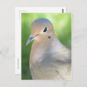 Meting Dove Briefkaart (Voorkant / Achterkant)