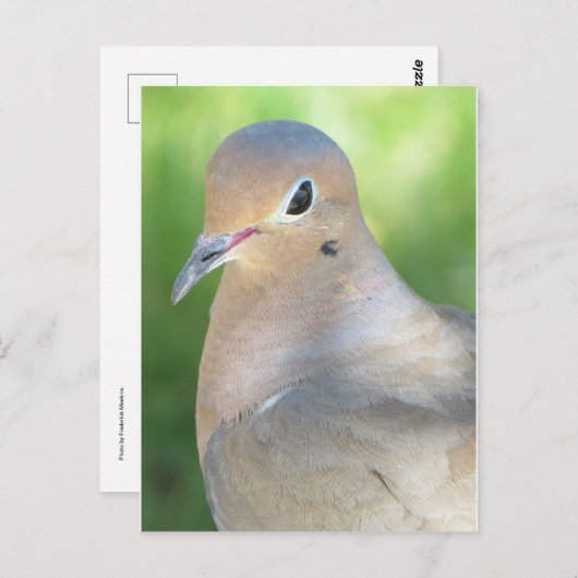 Meting Dove Briefkaart (Voorkant / Achterkant)