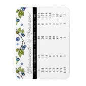 Metingen en omrekeningen Magnet Magneet (Verticaal)