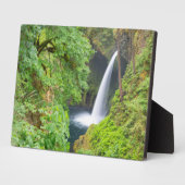 Metlako-Herfsten Fotoplaat (Zijkant)