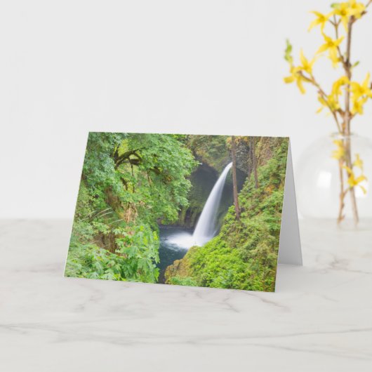 Metlako-Herfsten Kaart (Gele Bloem)