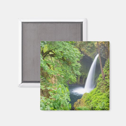 Metlako-Herfsten Magneet (Voorkant / Achterkant)