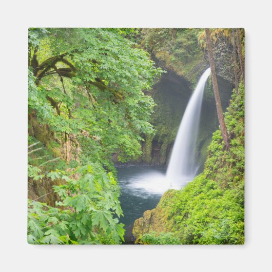 Metlako-Herfsten Magneet (Voorkant)