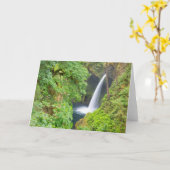 Metlako-waterval Kaart (Gele Bloem)