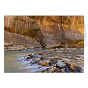Metro in Zion Utah