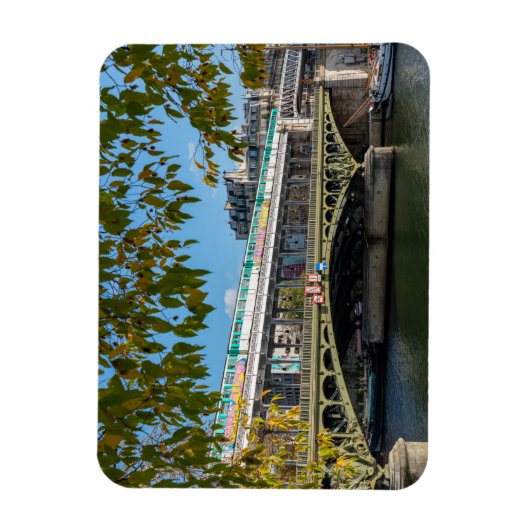 Metro op de brug Bir-Hakeim - Parijs, Frankrijk Magneet (Verticaal)