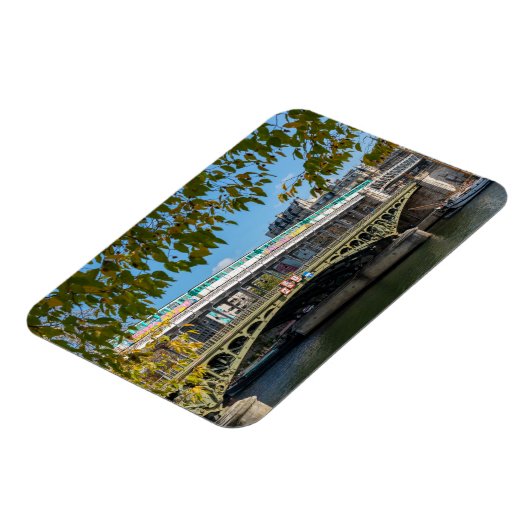 Metro op de brug Bir-Hakeim - Parijs, Frankrijk Magneet (Linkerzijde)