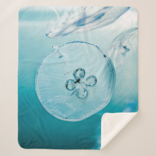 METROID IS DAT JE SHERPA DEKEN