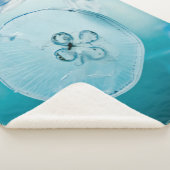 METROID IS DAT JE SHERPA DEKEN (3/4)