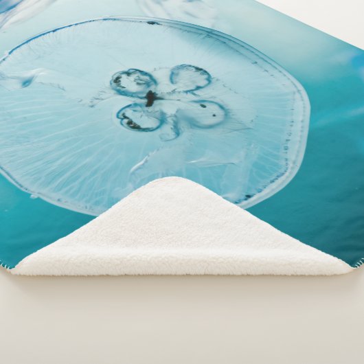 METROID IS DAT JE SHERPA DEKEN (3/4)