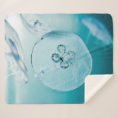 METROID IS DAT JE SHERPA DEKEN (Voorkant (horizontaal))