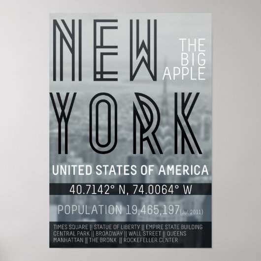 Metropolis New York Poster (Voorkant)